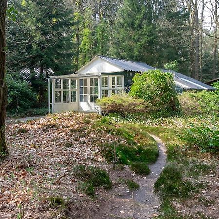 "Esdoorn" Ontspannen In De Hottub Norg Екстериор снимка