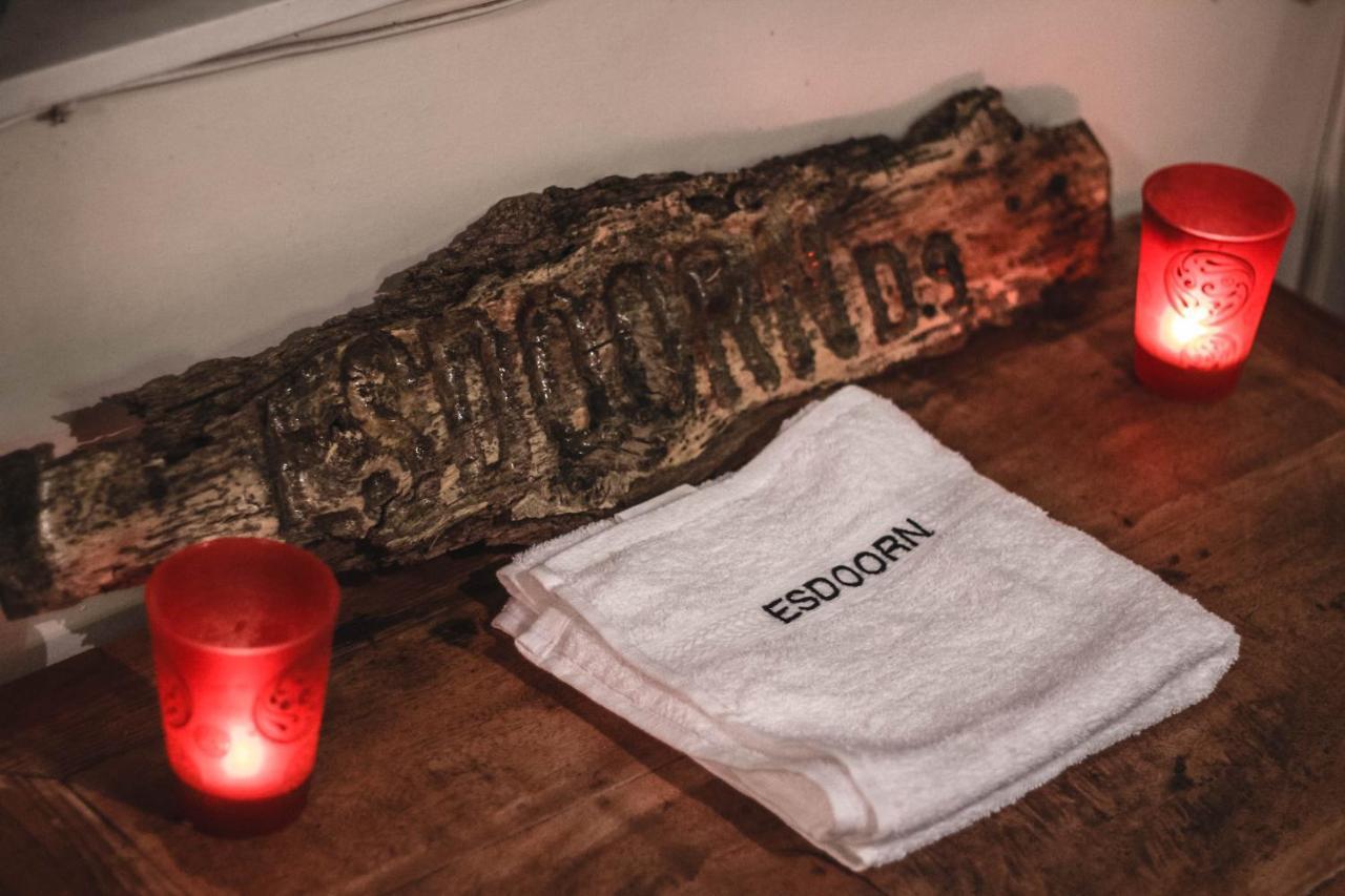 "Esdoorn" Ontspannen In De Hottub Norg Екстериор снимка